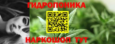 стаф Рыбинск