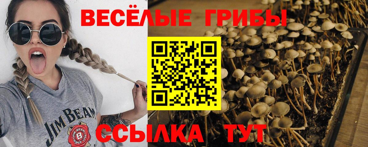 Псилоцибиновые грибы ЛСД Ростов-на-Дону
