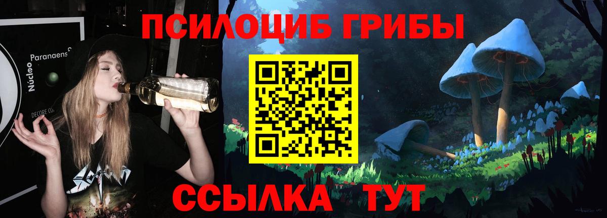 Псилоцибиновые грибы Psilocybe  Вход с VPN  Ростов-на-Дону 